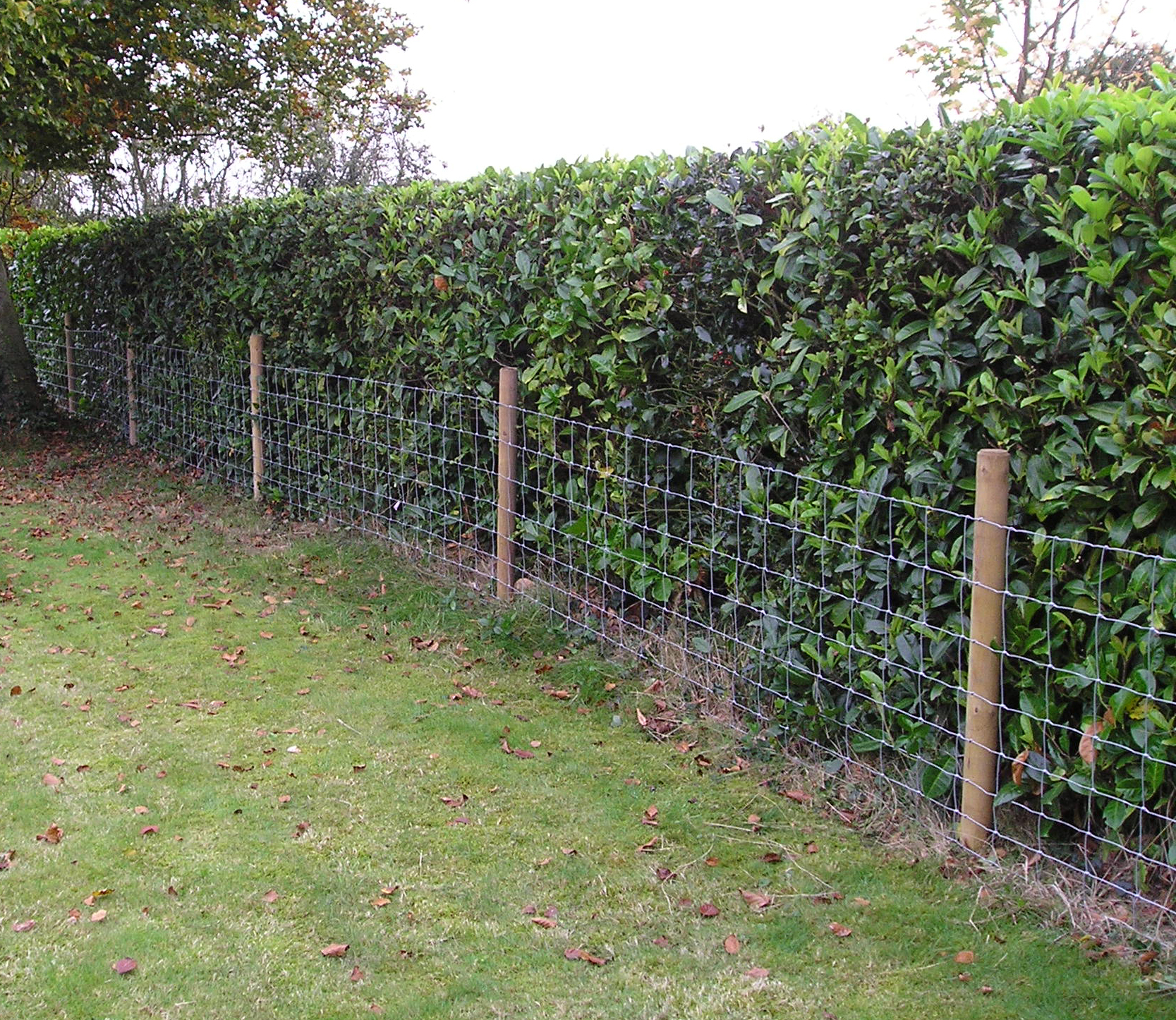 Stock netting hidden in a hedge