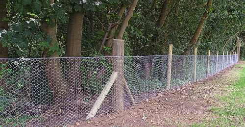 Rabbit fencing panels new arrivals
